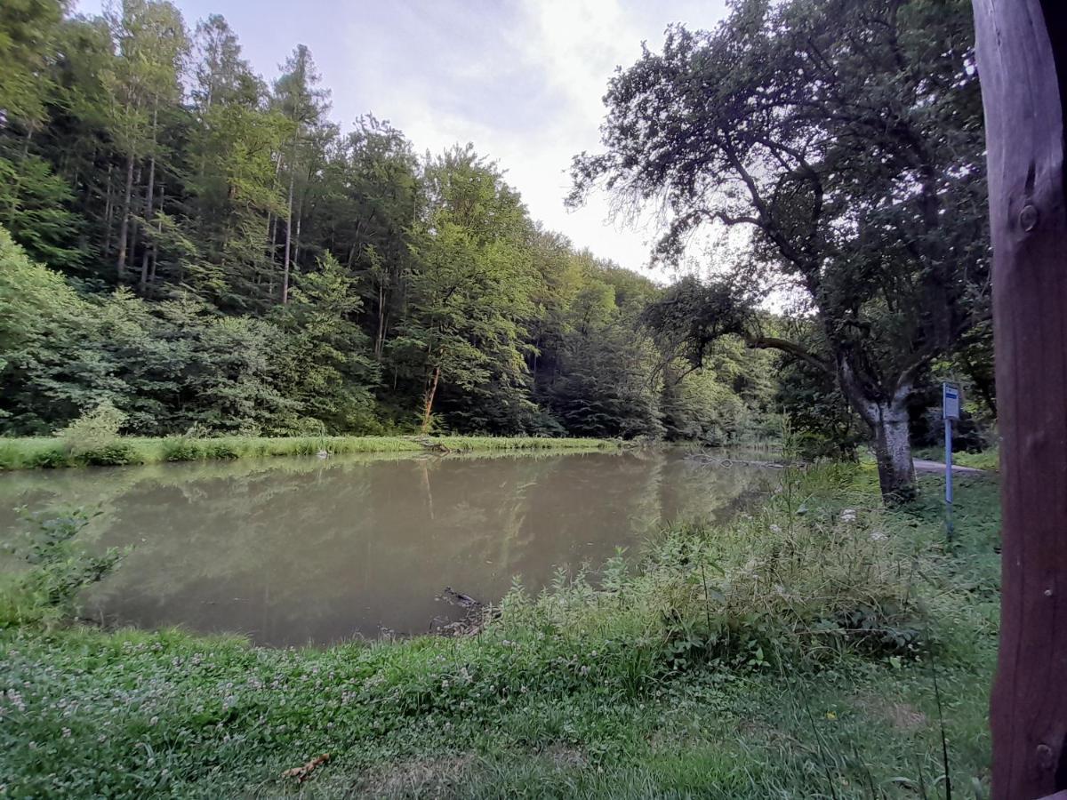 Pohoda Salas U Velehradu-2 Apartmany Uherské Hradiště エクステリア 写真